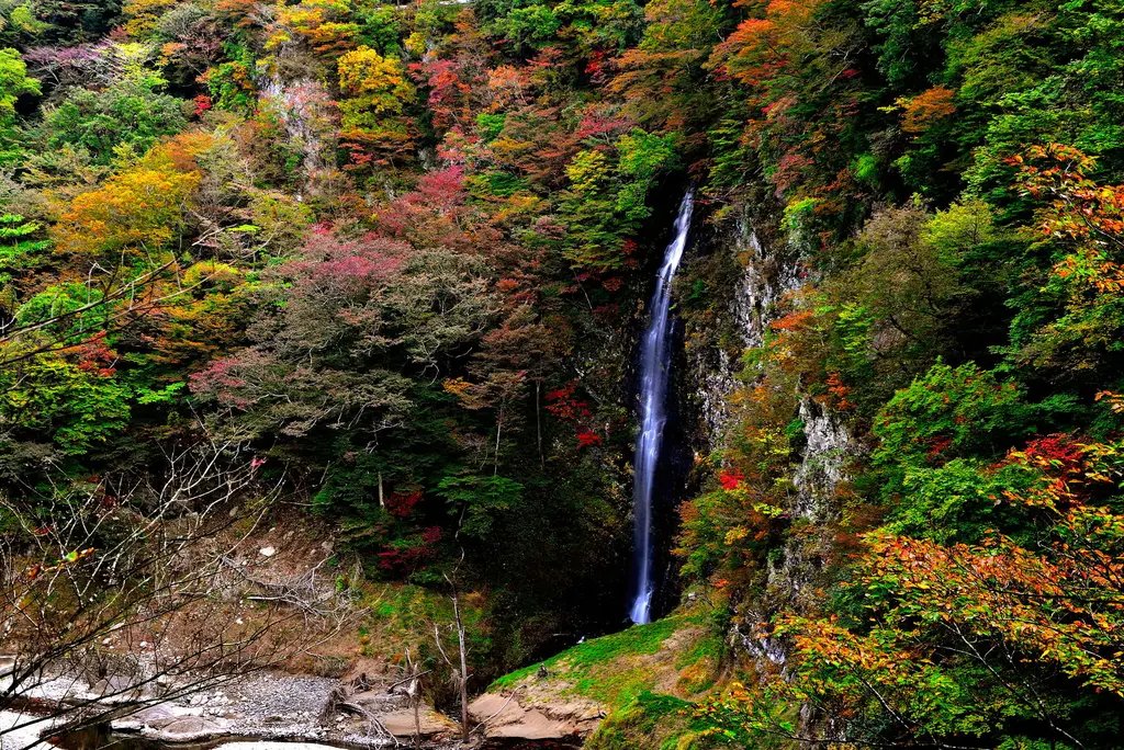 🍁 붉은 현수교(쿠레나이노츠리바시)